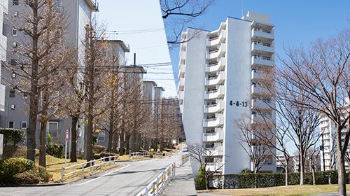 多様な人材の活躍推進