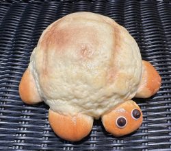 メロメロかめぱん（夏休み限定）