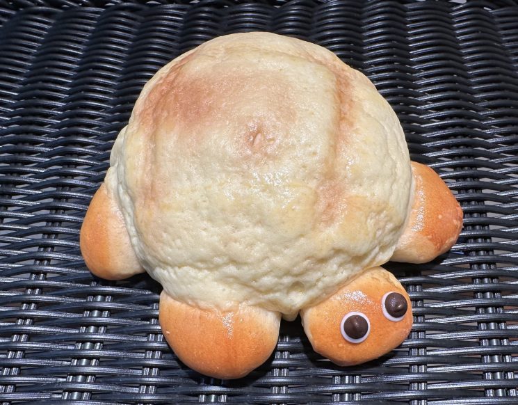 メロメロかめぱん(夏休み限定)